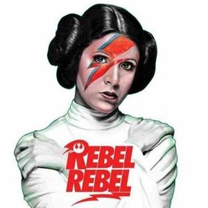 Meet your Posher, Sivan